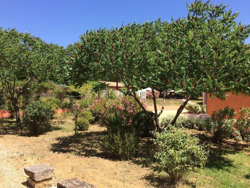 Hotel Les Ambres Roussillon  Exterior photo